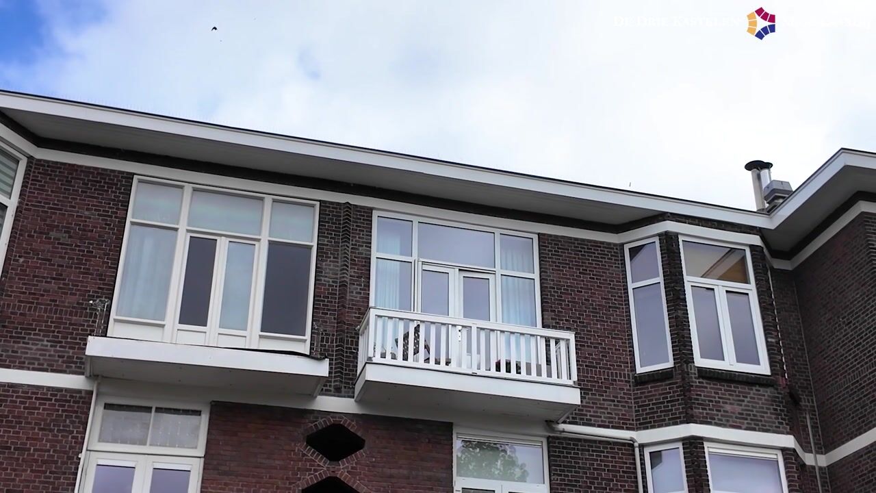 Video van Ieplaan 59