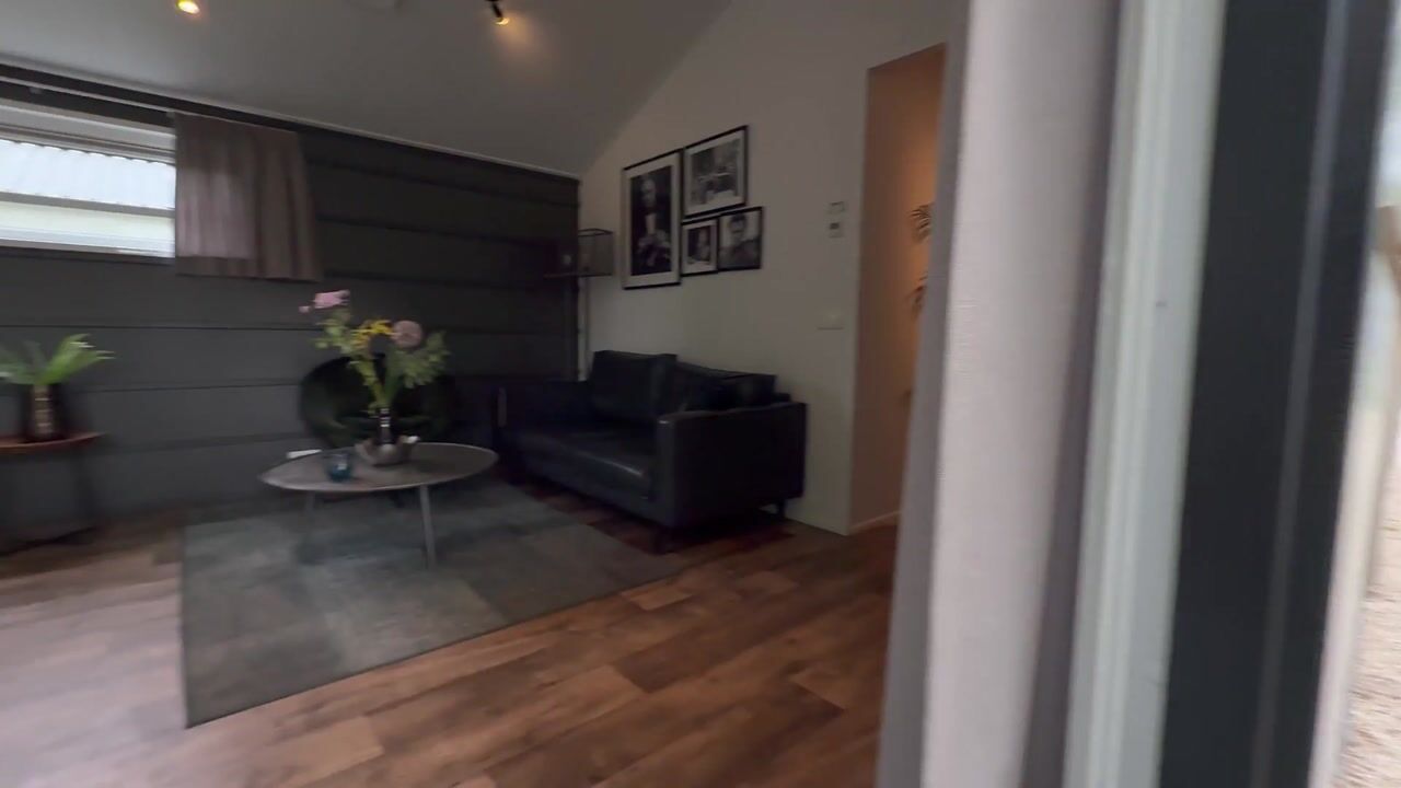 Video van van Haestrechtstraat 24-316