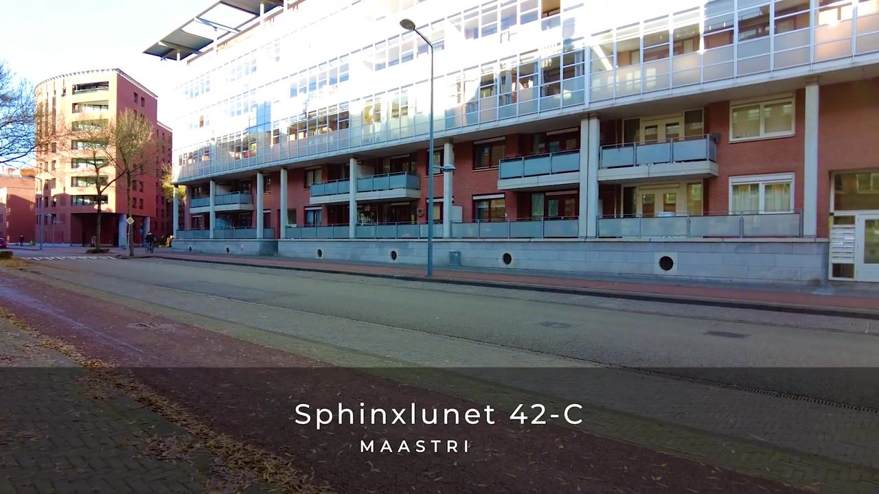 Video of Sphinxlunet 42-C