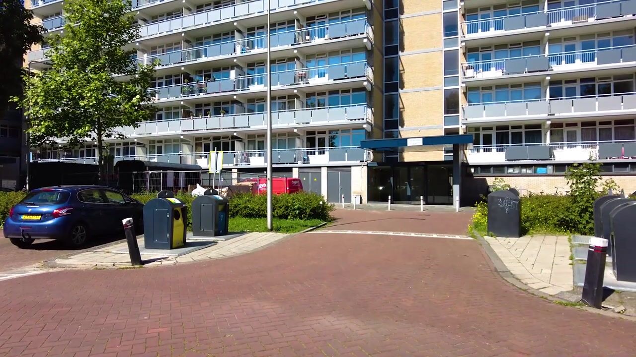 Video van Lupinesingel 354