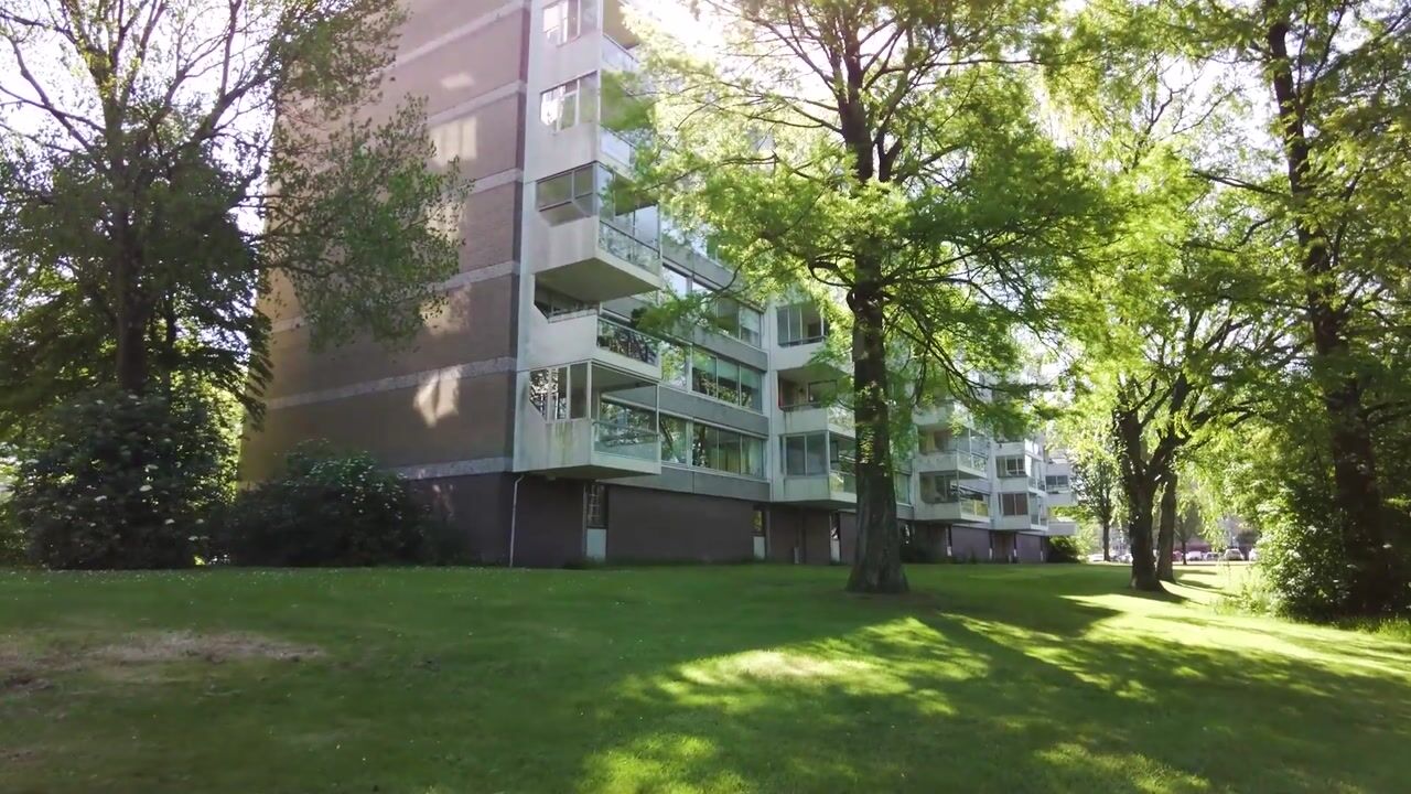 Video van Veenbesstraat 244