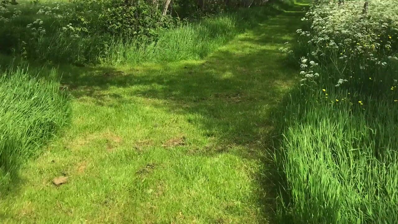 Video van Lietsweg 6