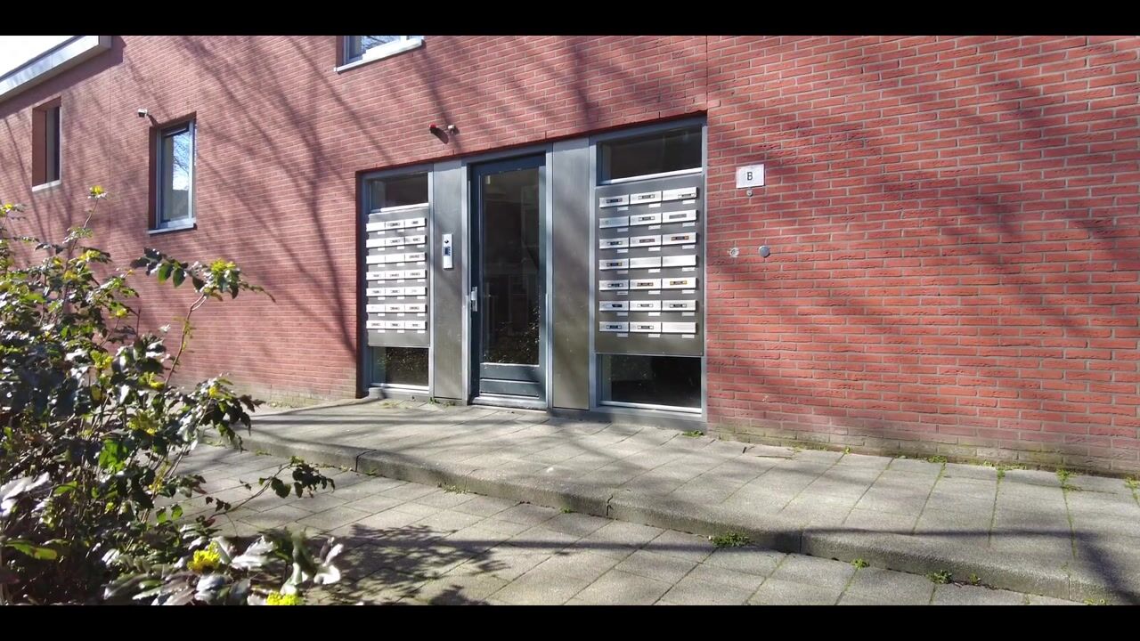 Video van Dokstraat 81