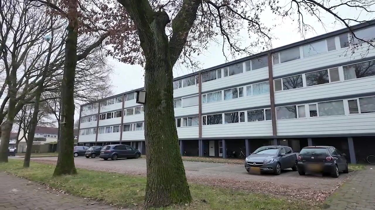 Video of Varenkamp 13