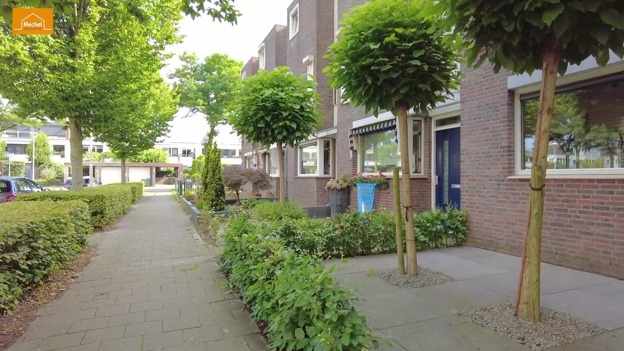 Video van Bloemenblauwtje 70