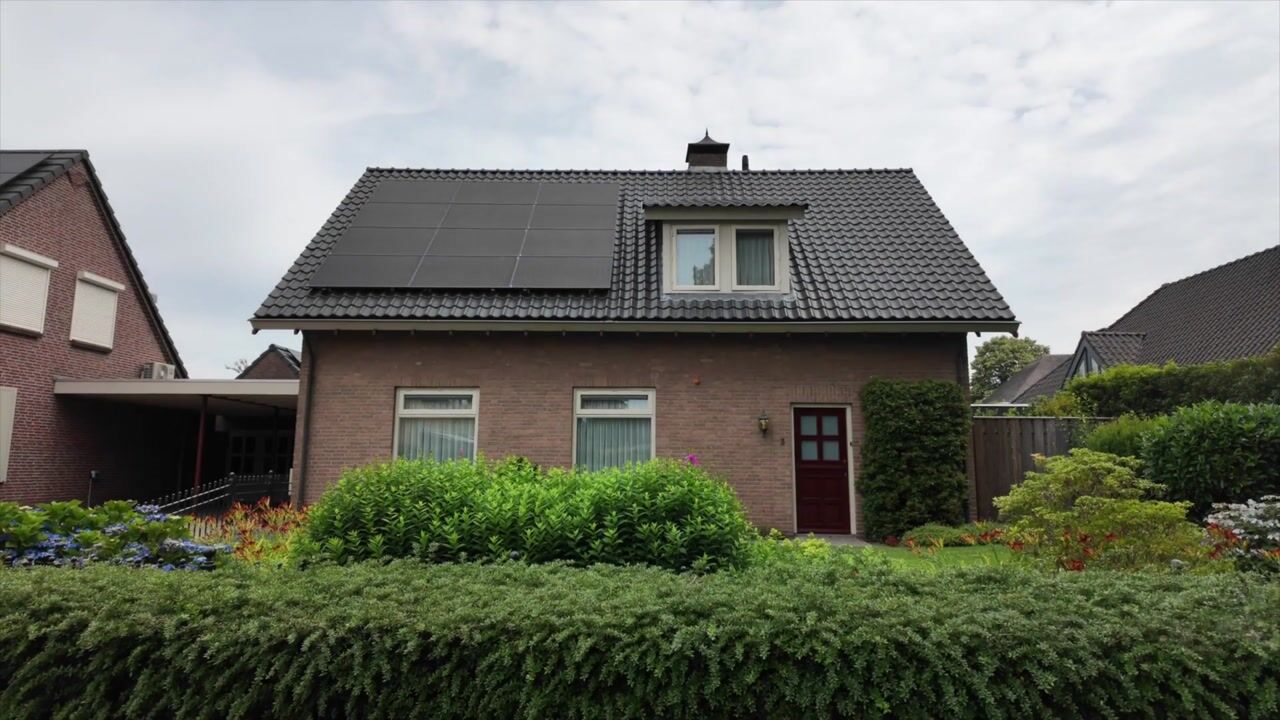 Video van Boekweitveld 3