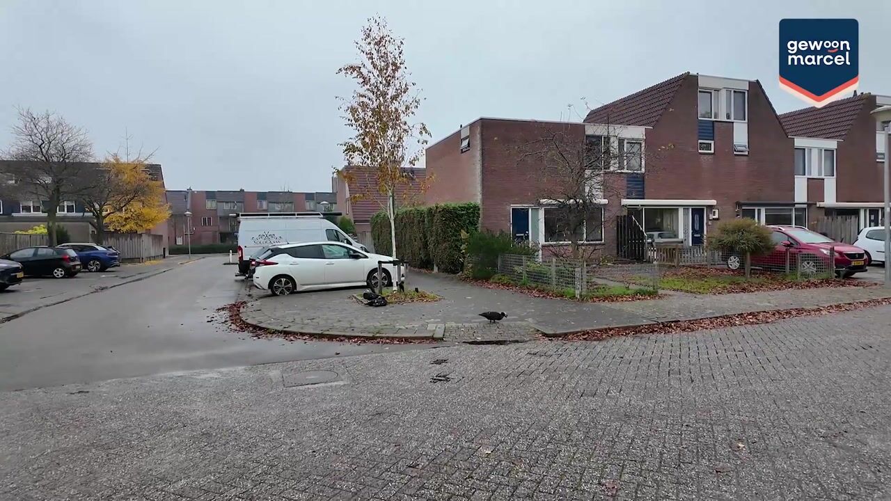 Video of Paardebloemweide 1