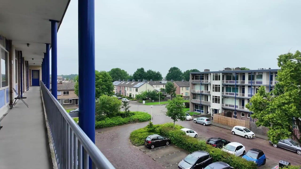 Video van De Reiger 247