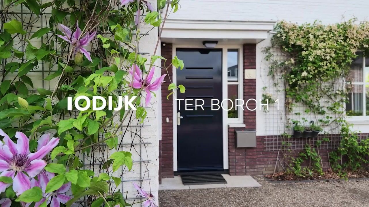 Video van Ter Borch 1