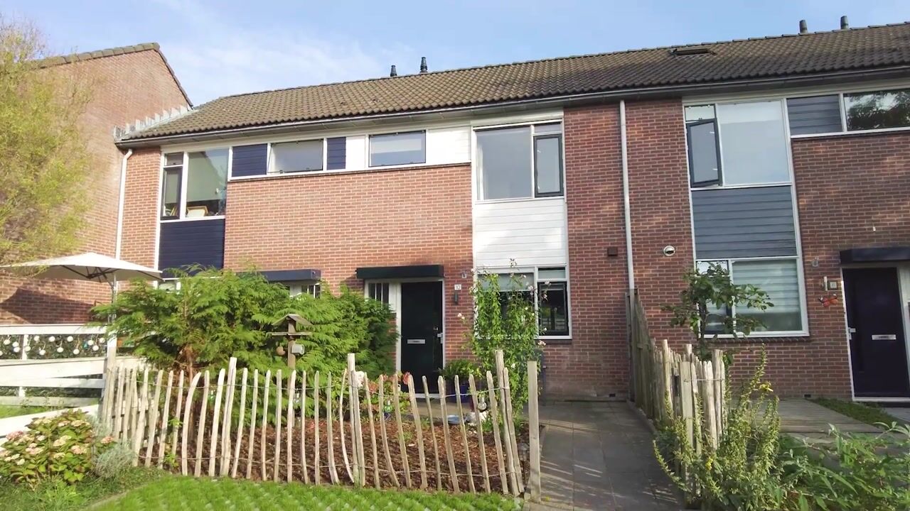 Video van Honingbij 10