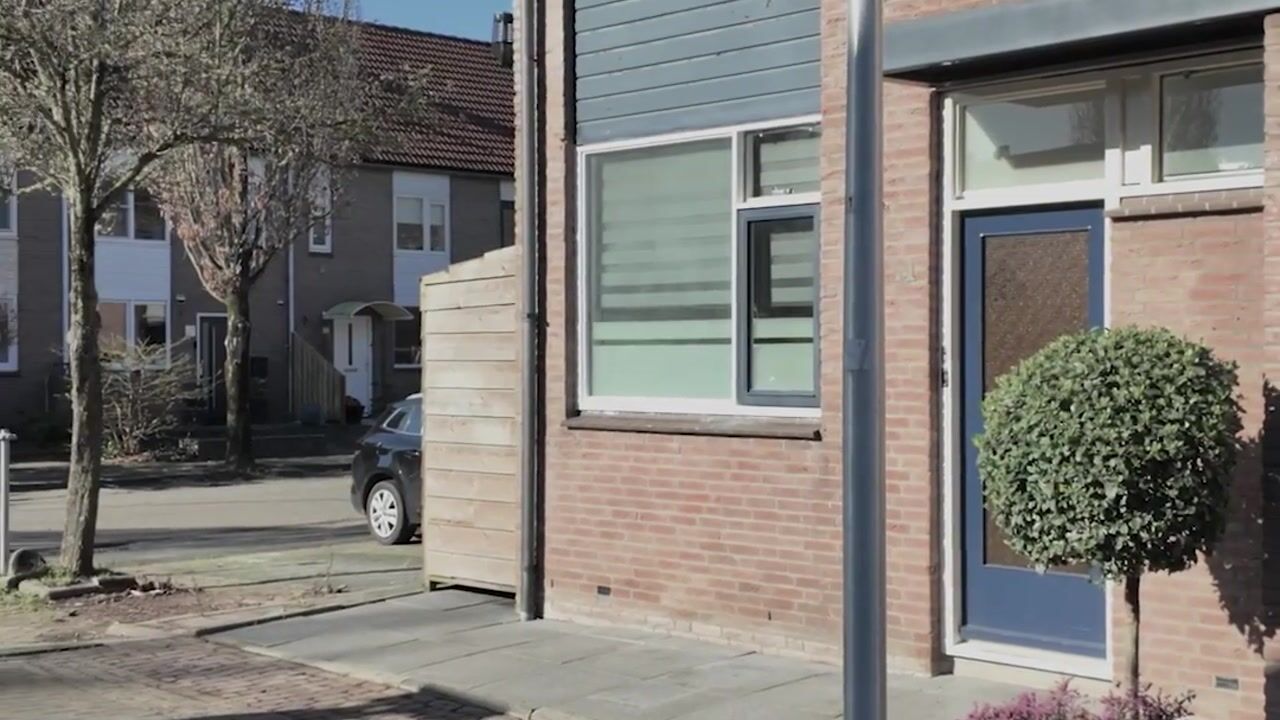 Video of Pruylenborg 1