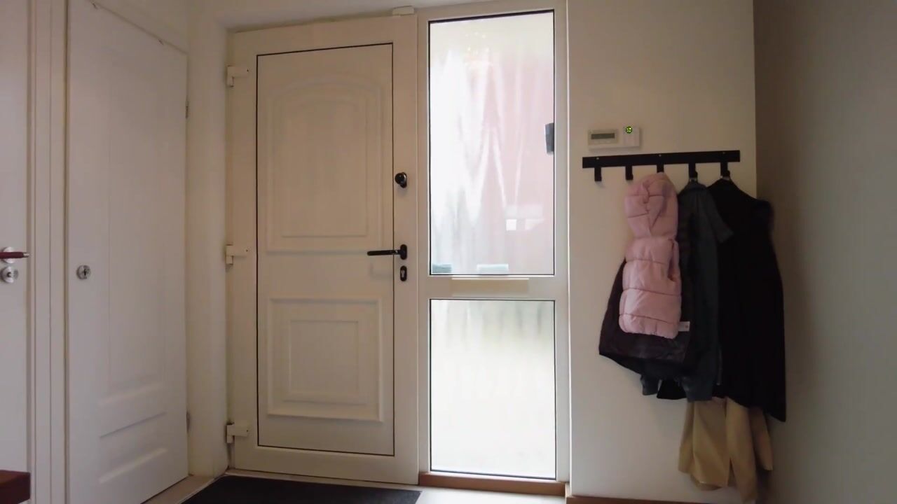 Video of Haelerweg 4