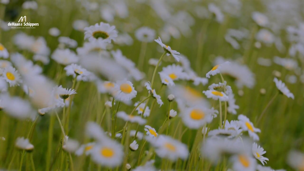 Video van Hooislagen 7-C
