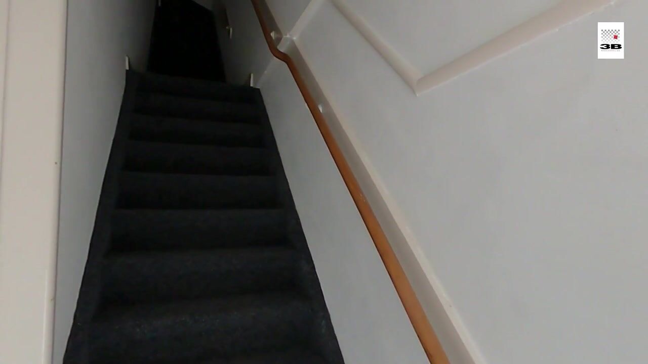 Video van Bergselaan 263-C