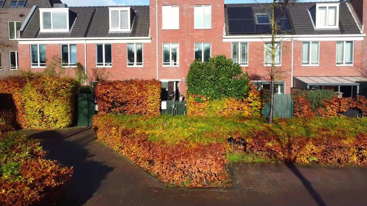 Video van Het Carré 17