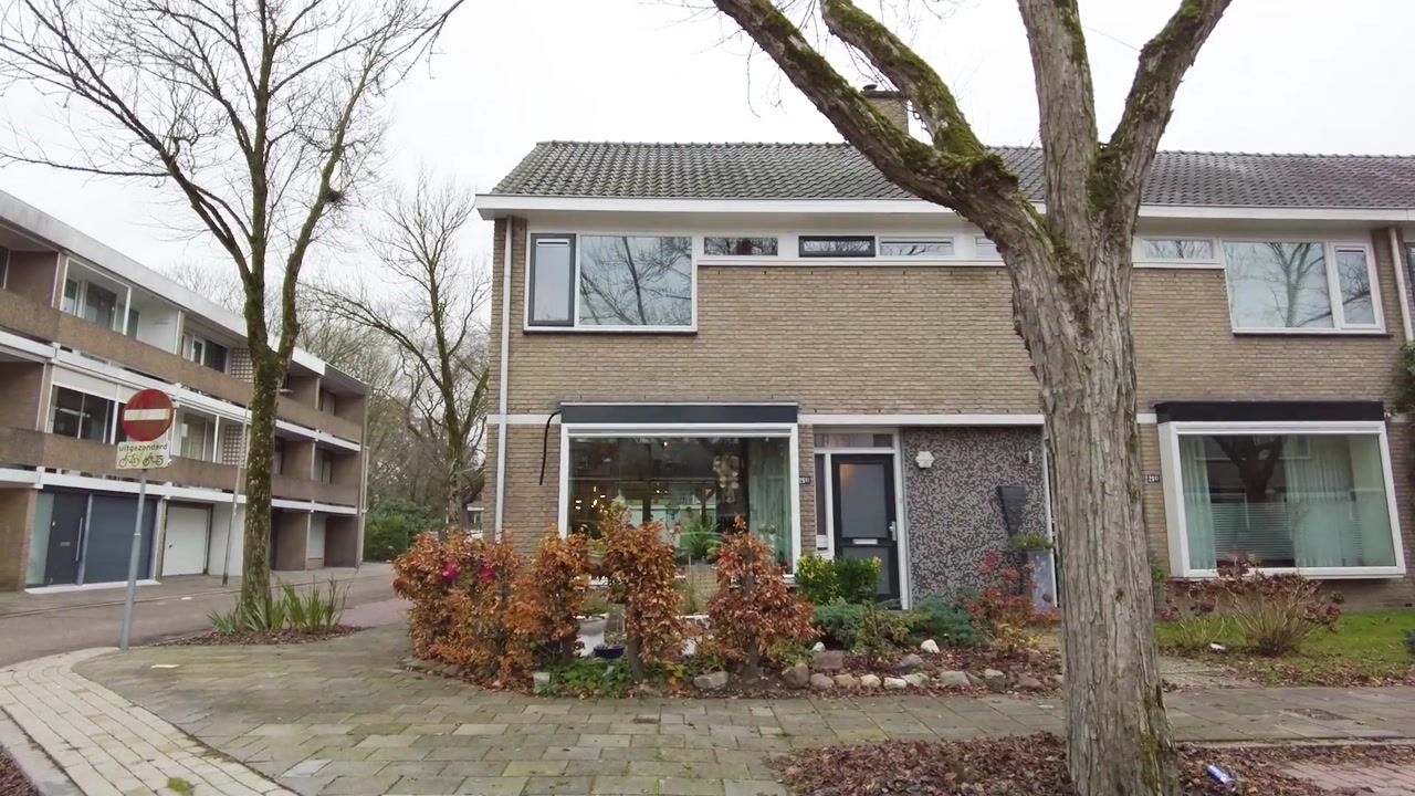 Video of Lankforst 2901