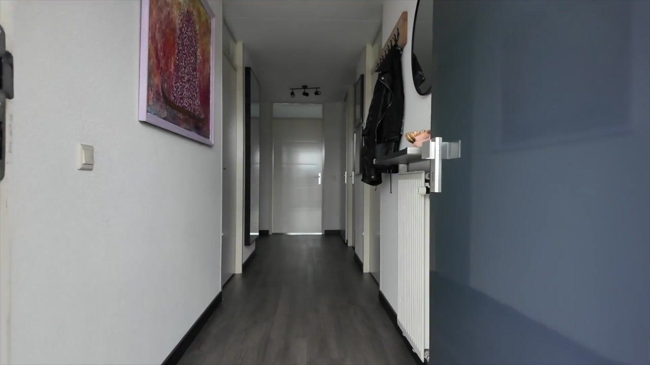Video of Praagsingel 400