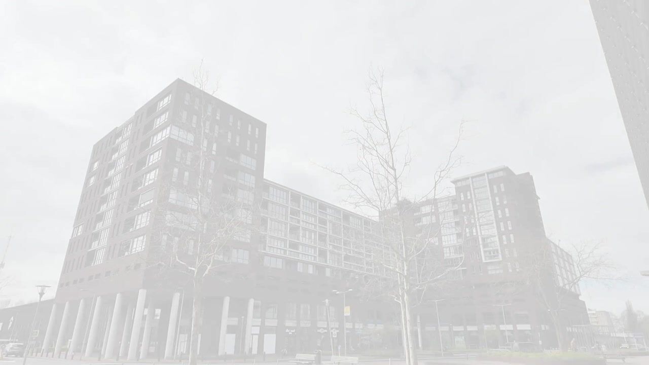 Video van Safariweg 229