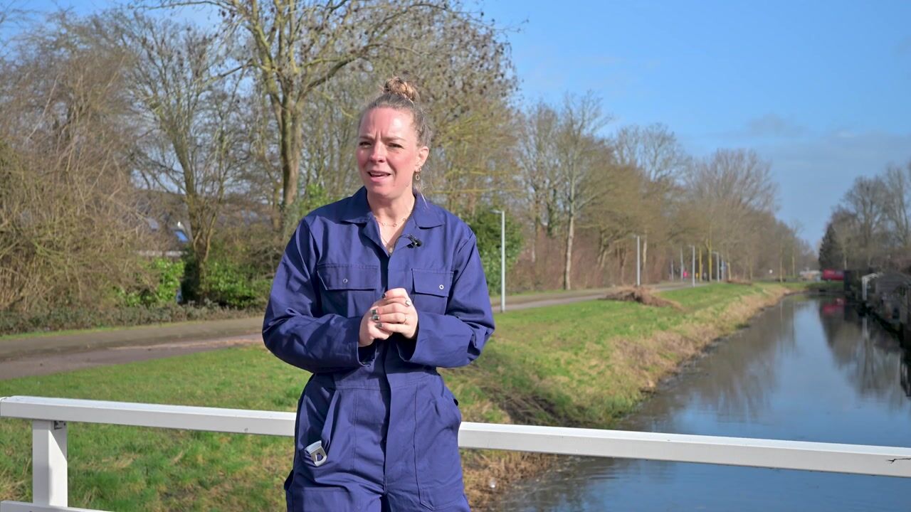 Video van Söderblomstraat 73