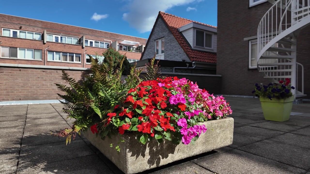 Video of Marconistraat 109