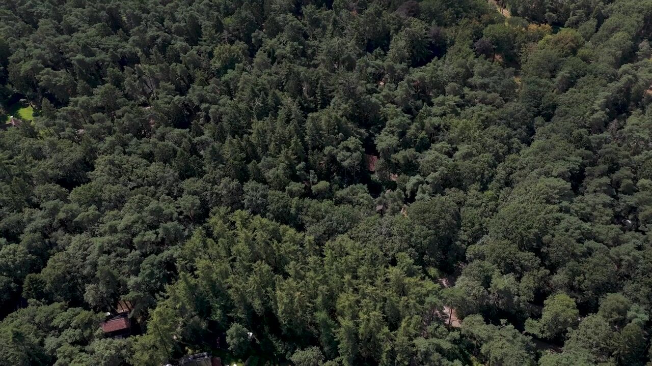 Video van Voorsteweg 13