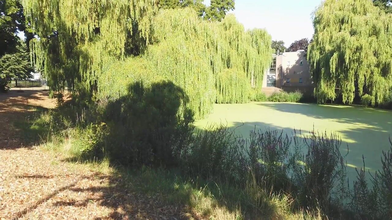Video van Aldenhof 2348