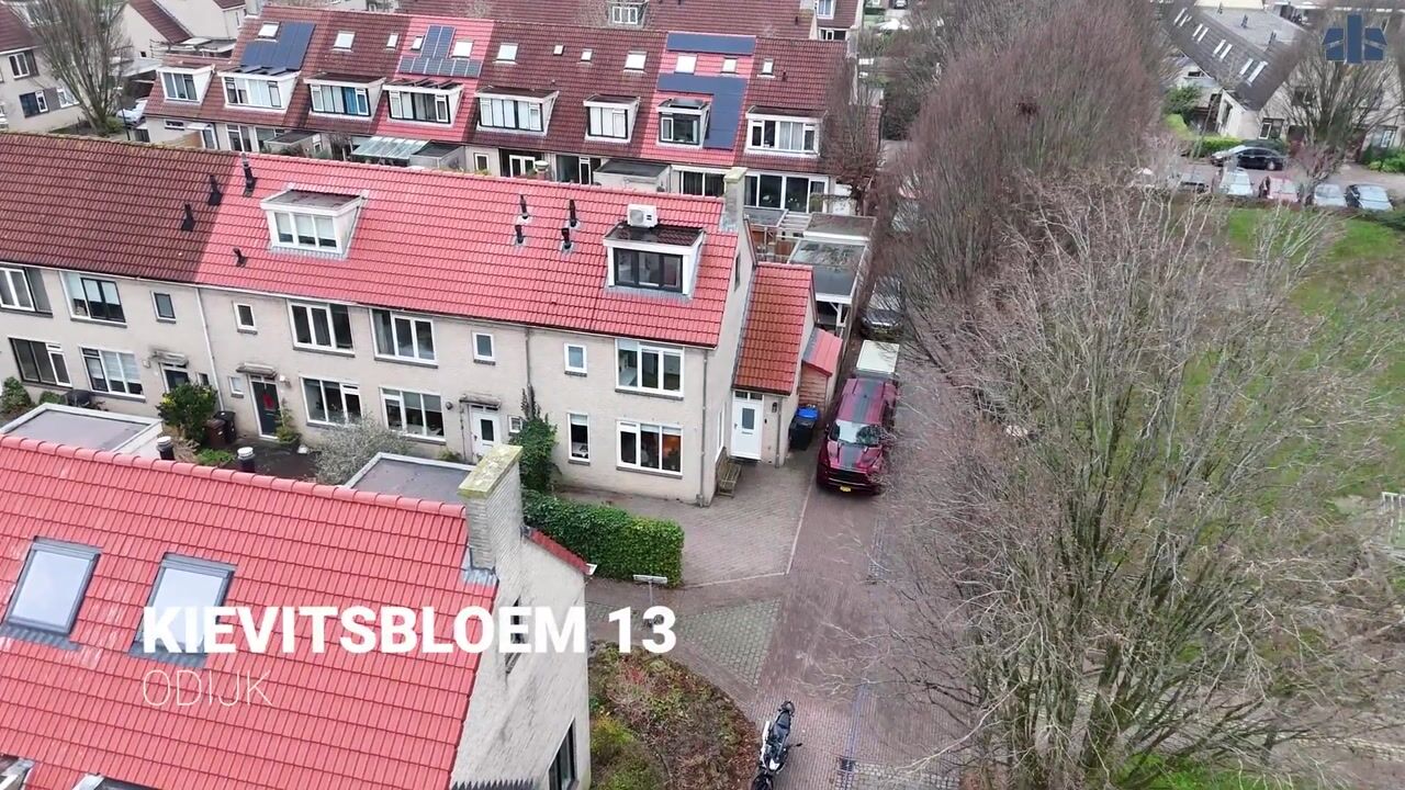 Video van Kievitsbloem 13