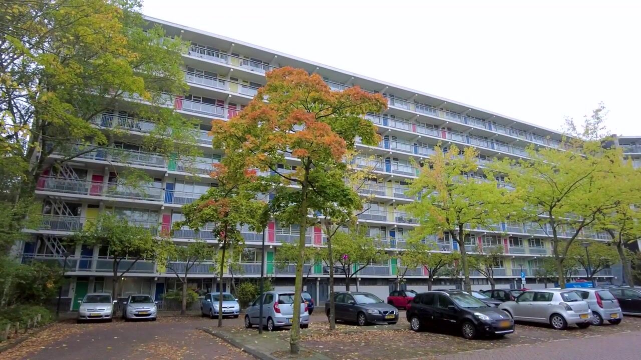 Video van Zijldonk 12