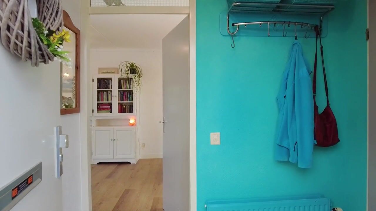 Video van Borgvliet 30