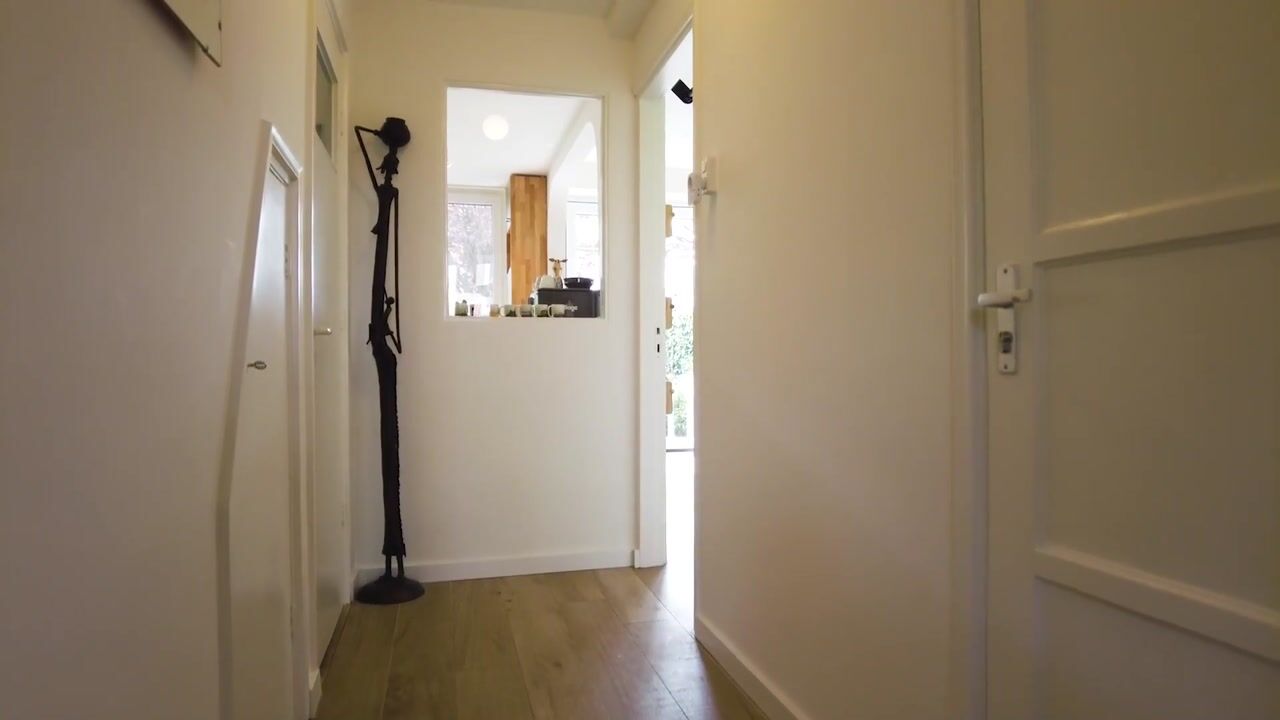 Video of Cornelis van Alkemadestraat 1