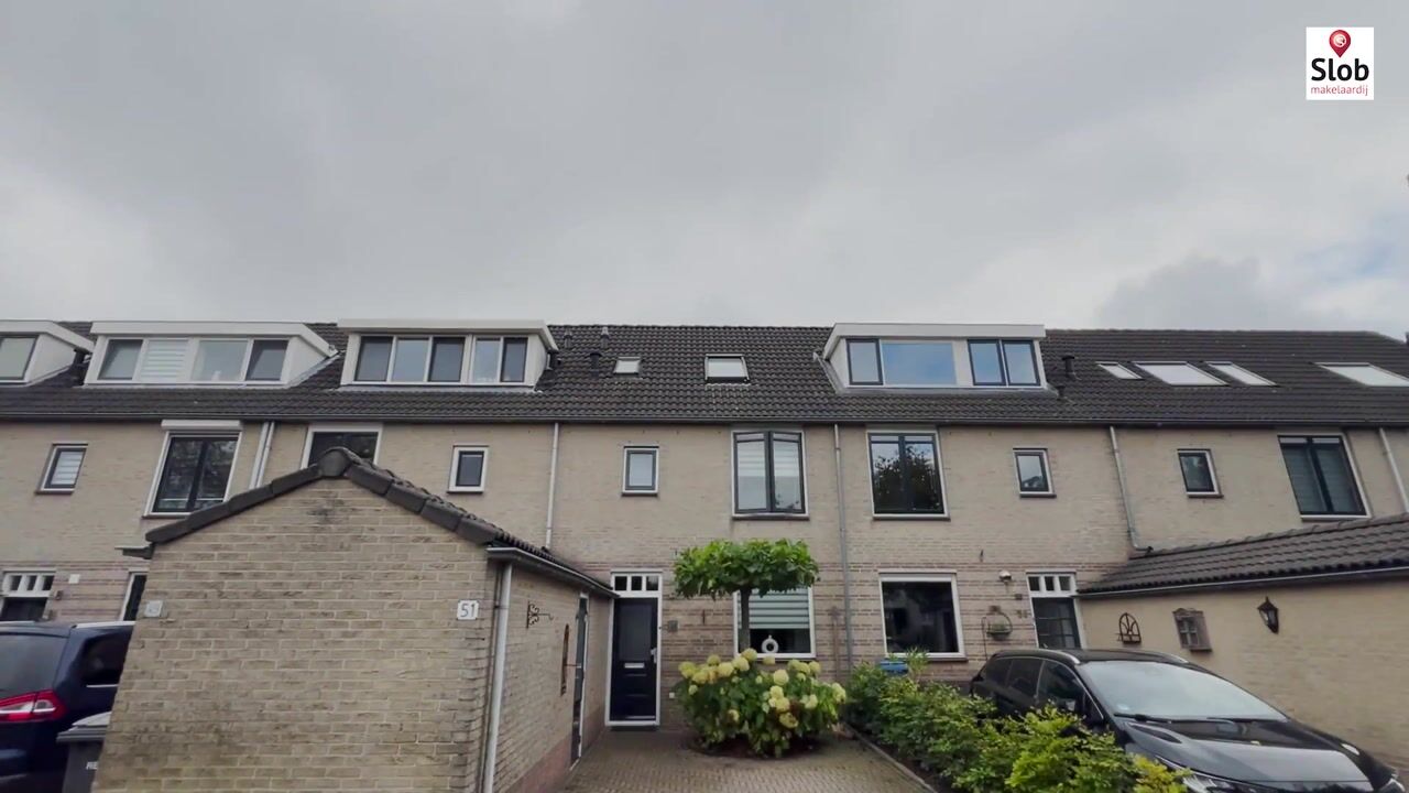 Video of Meerkoet 51