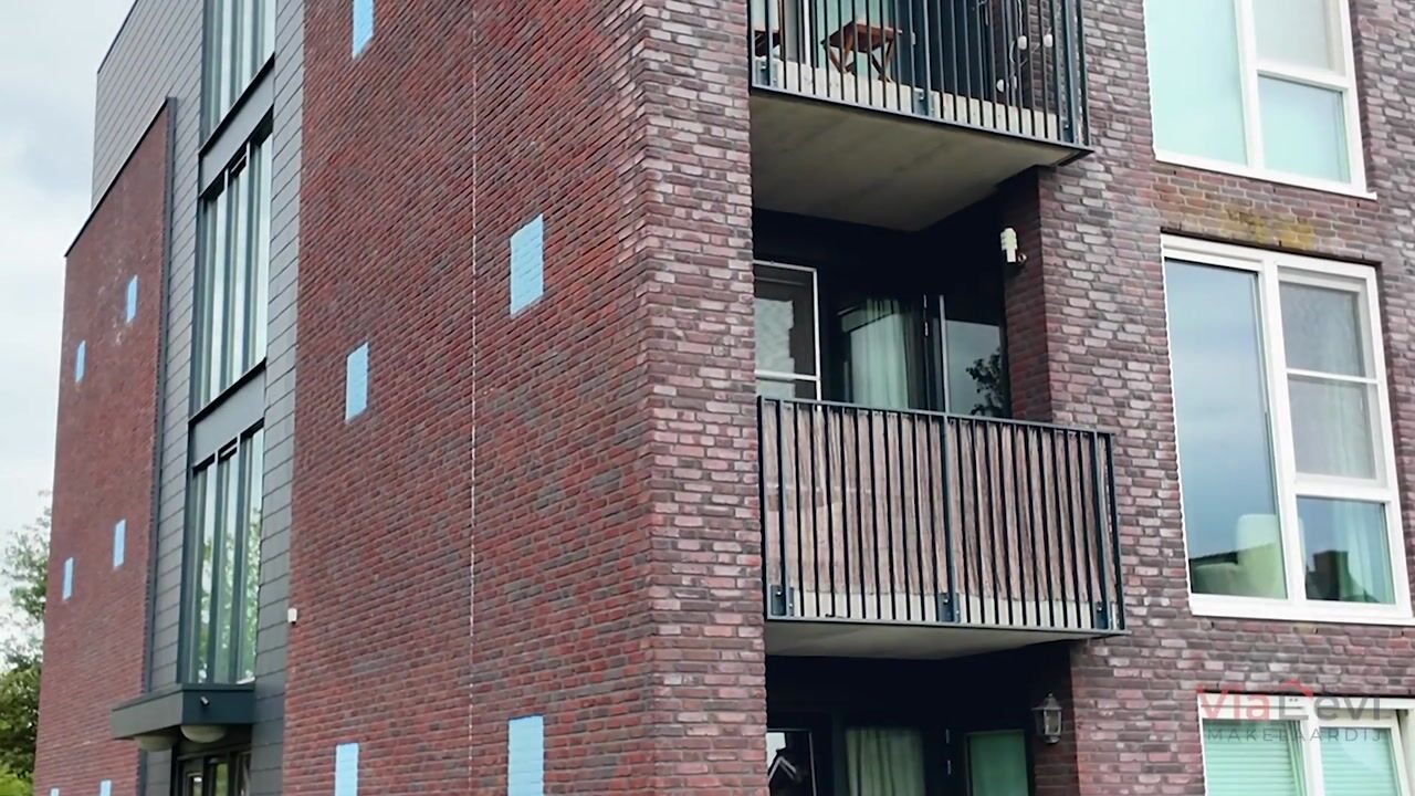 Video van Muntmeester 191