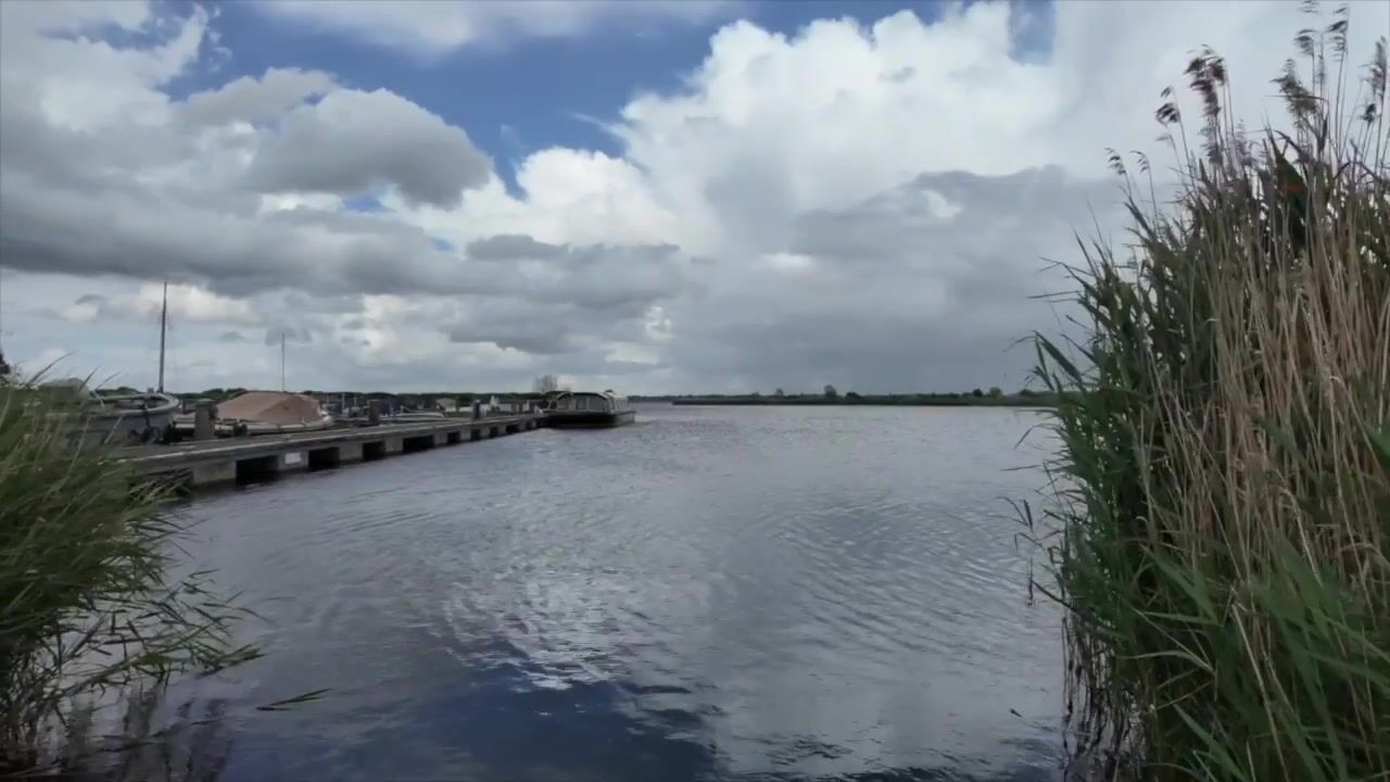 Video van Wimpelplantsoen 416