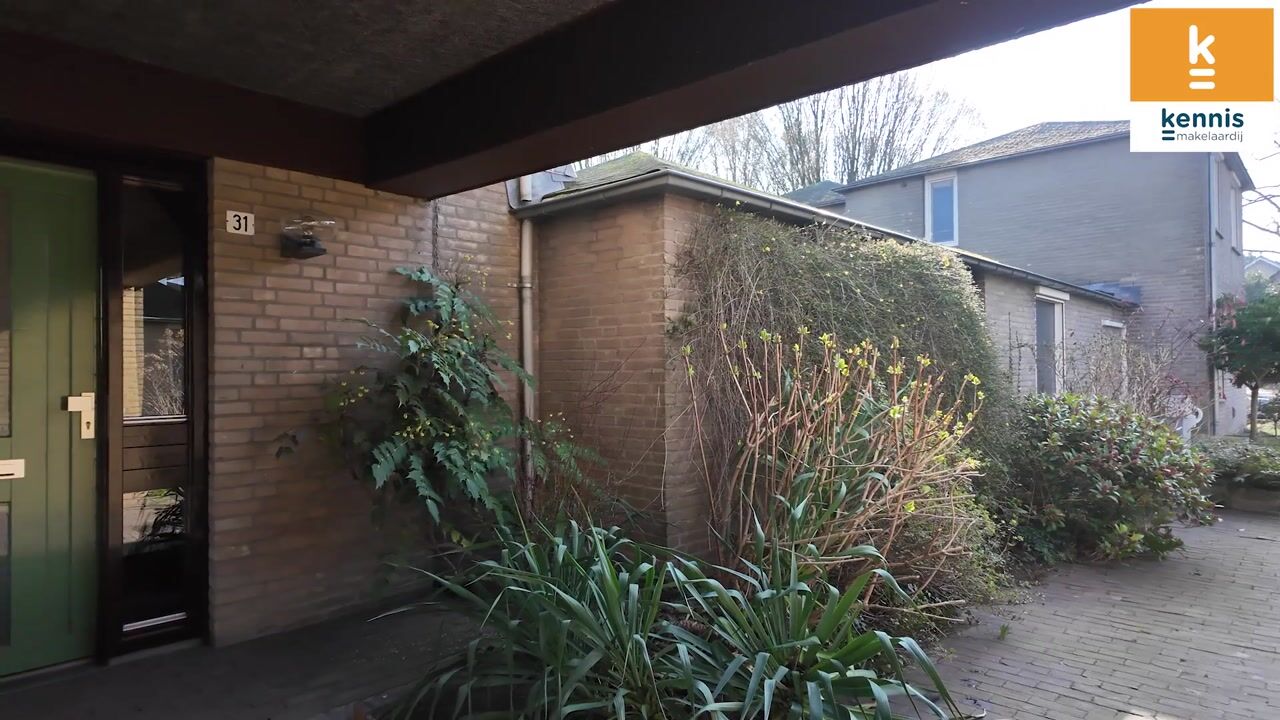 Video van Buntbeek 31