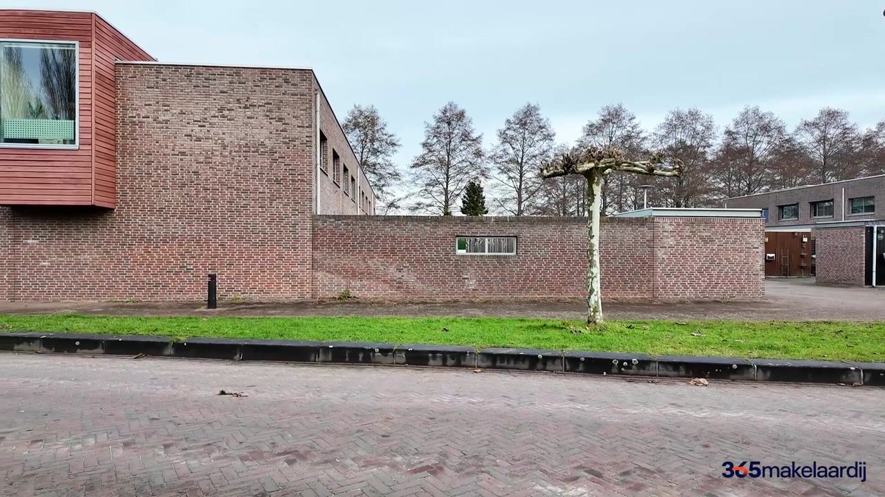 Video of Leo Fallplantsoen 19