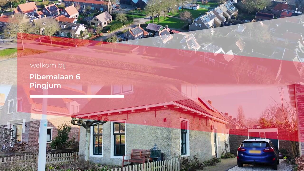 Video van Pibemalaan 6