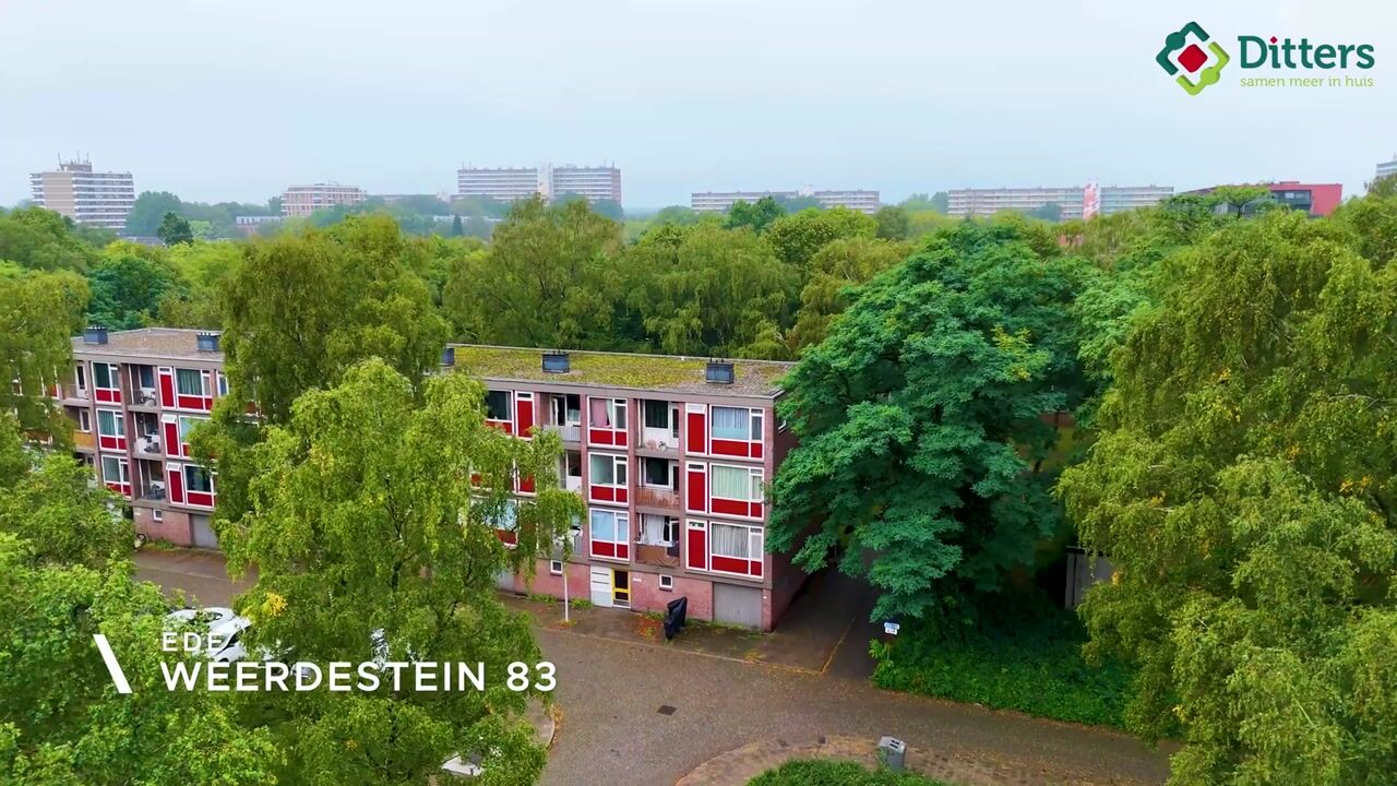 Video van Weerdestein 83