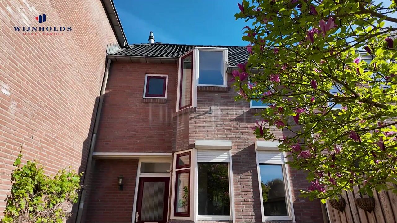 Video van Dingspil 41