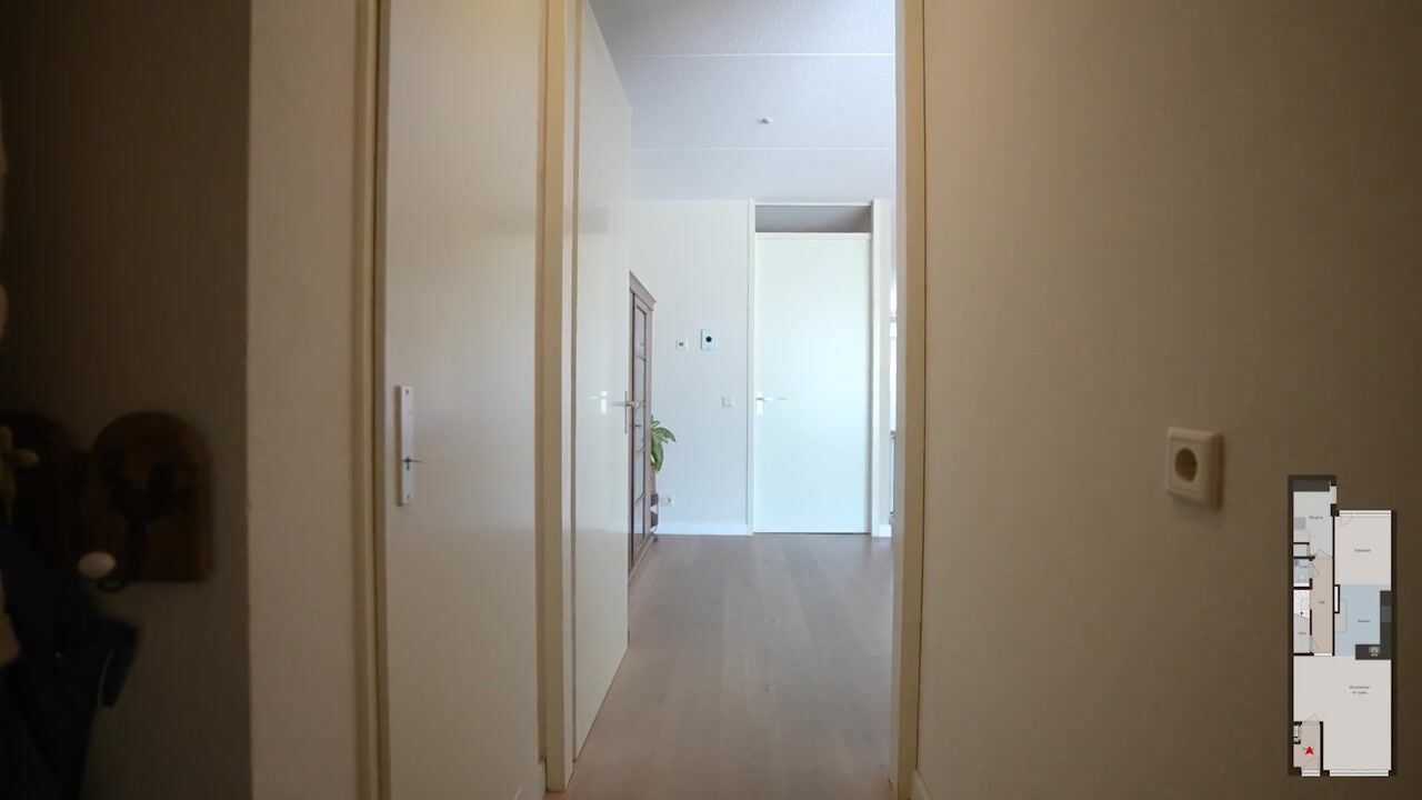 Video van Weidelint 38