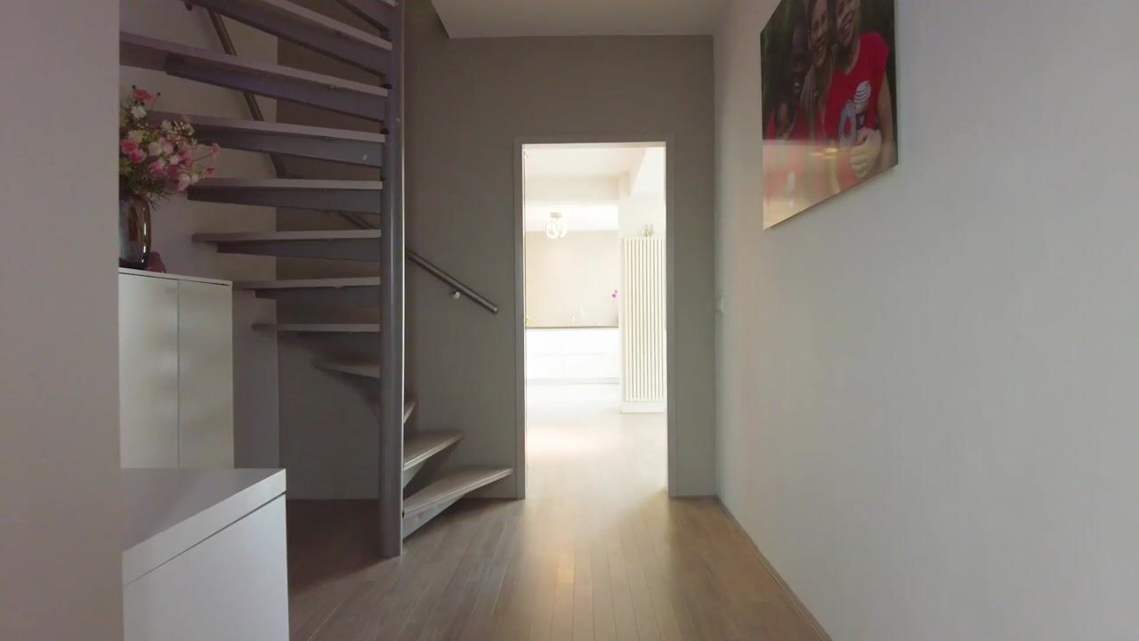 Video of De Glazenmaker 56