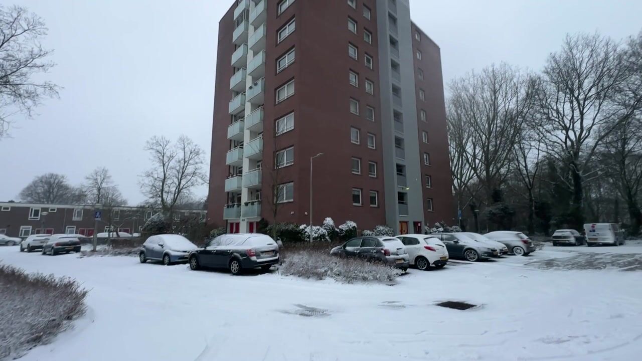 Video van Dierenriem 66