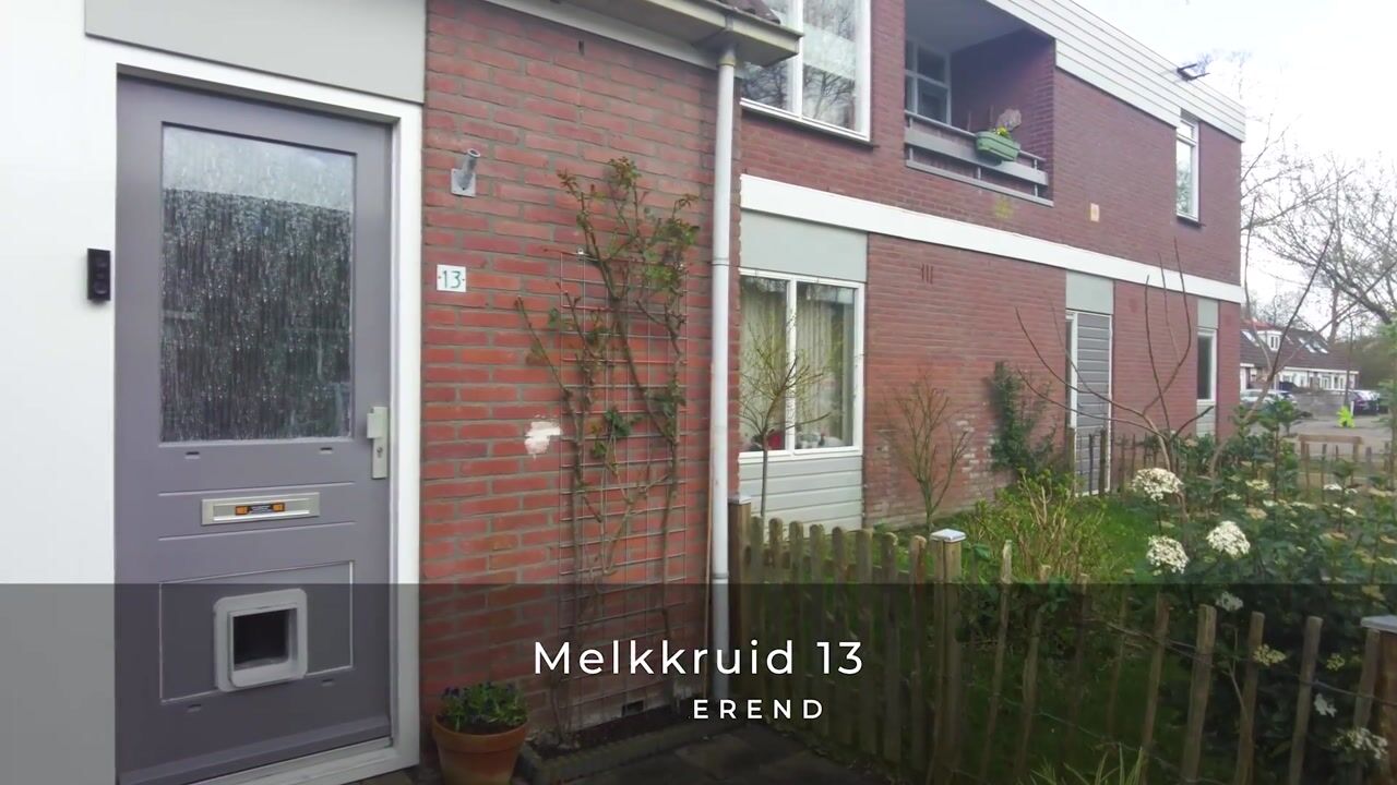 Video van Melkkruid 13