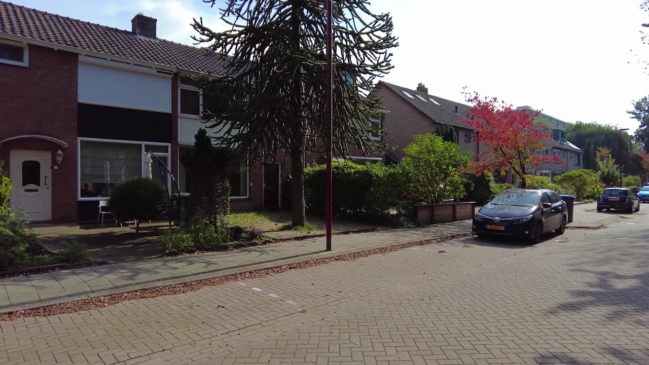 Video van Raedeckerplantsoen 9