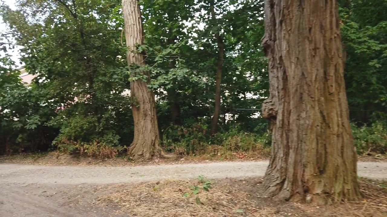 Video of Zandsteeg 27