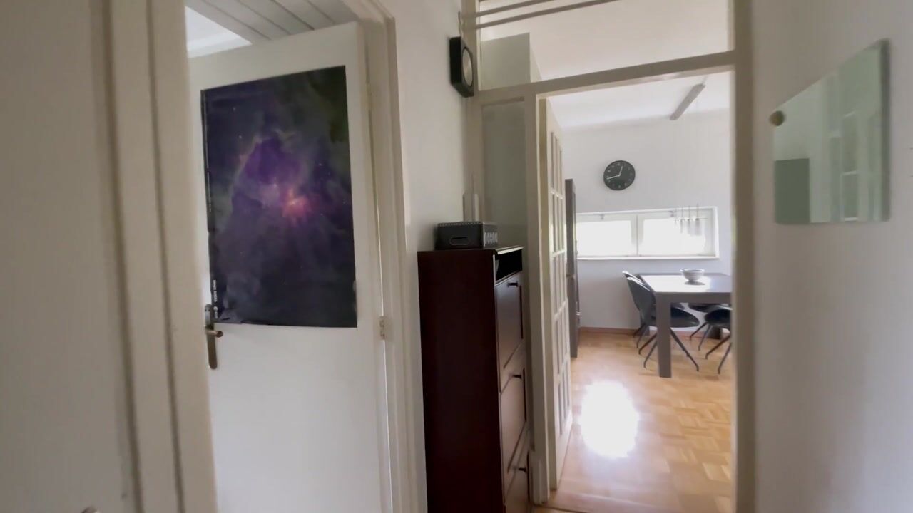 Video van Julianaplantsoen 264