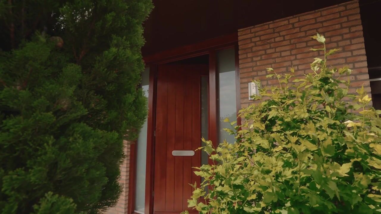 Video van Langengriend 14