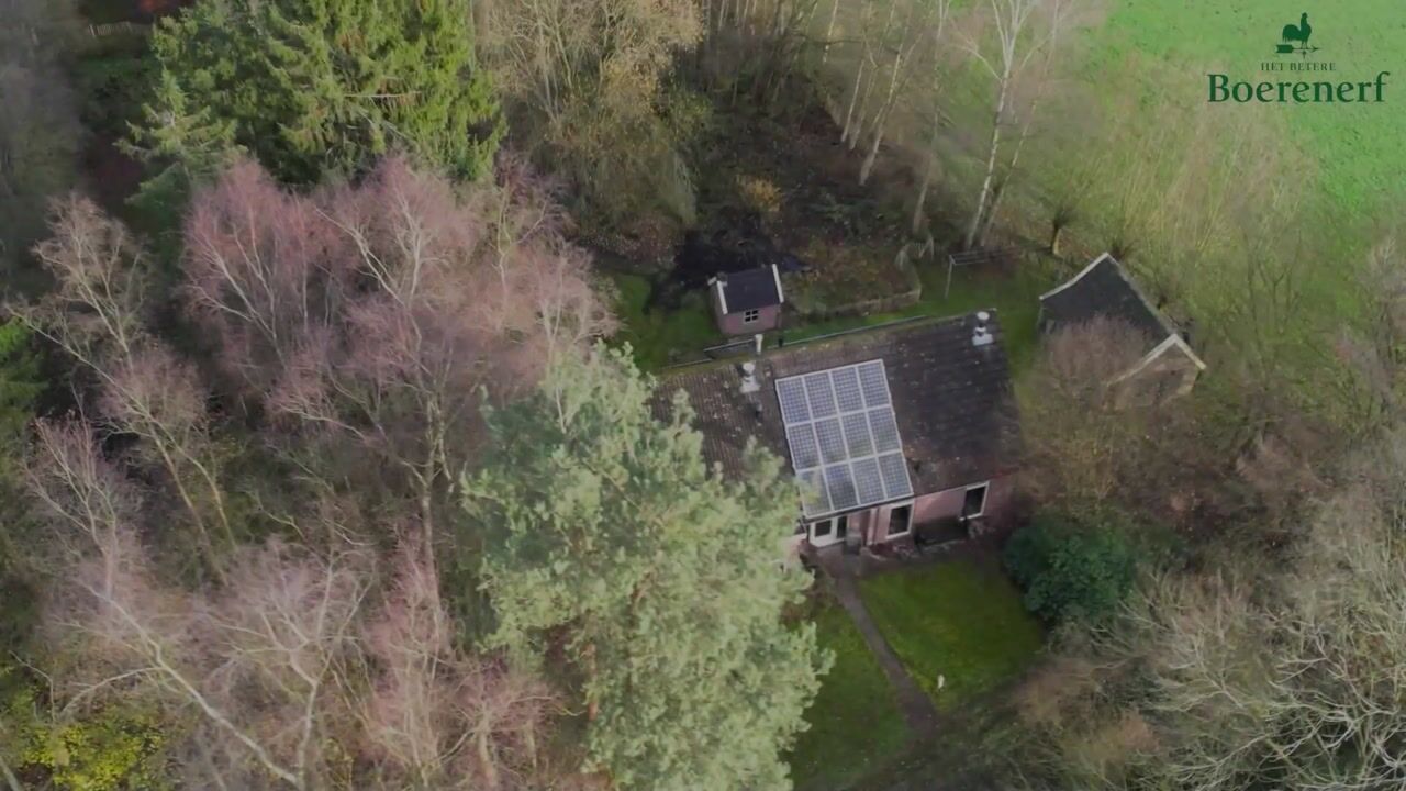 Video of Oude wijk 5