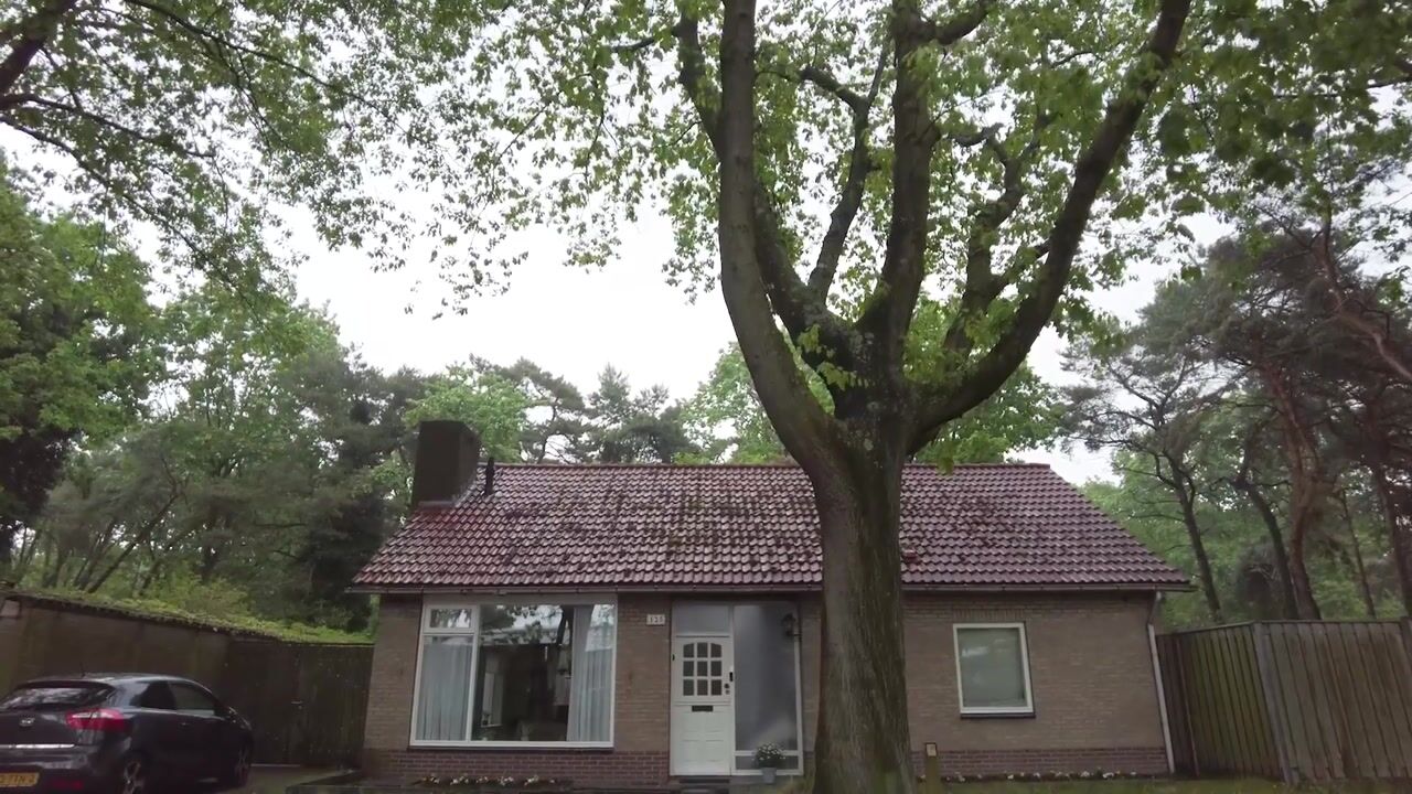 Video van Albionstraat 125