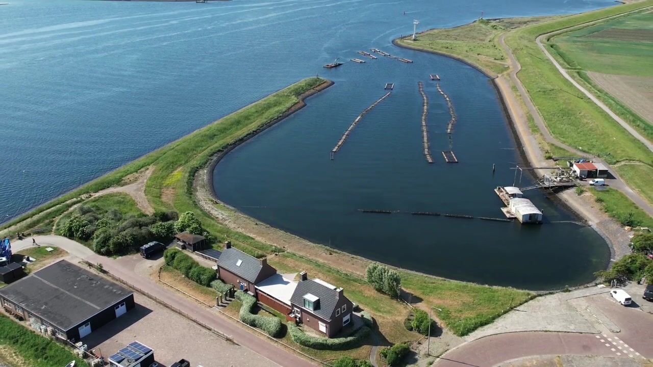 Video of Zijpe 3