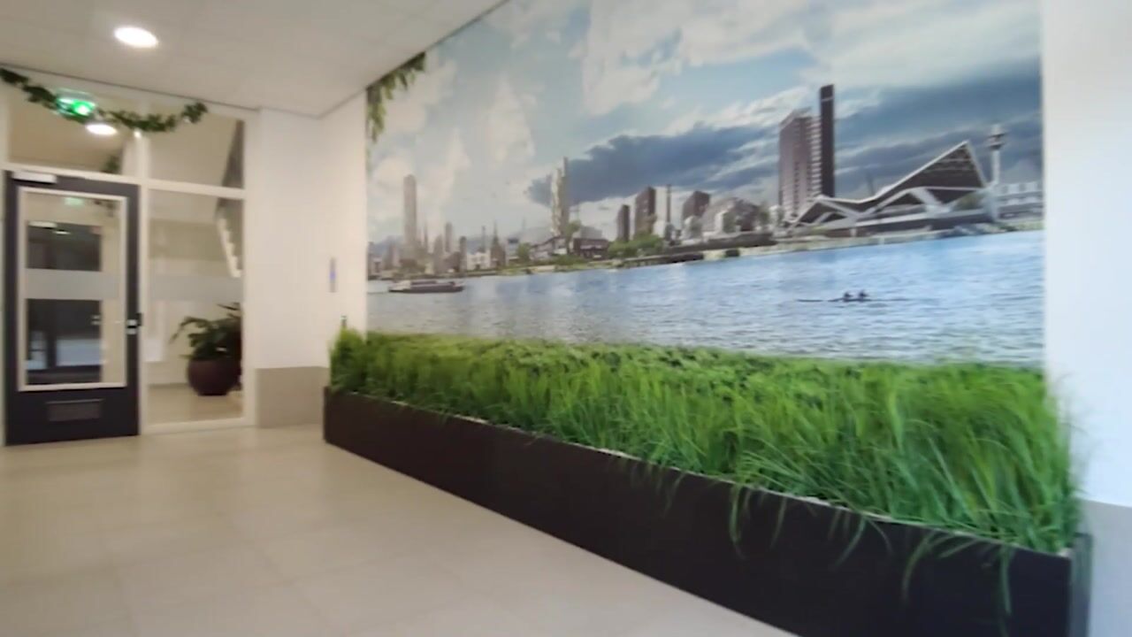 Video of Panhuijsenpad 41